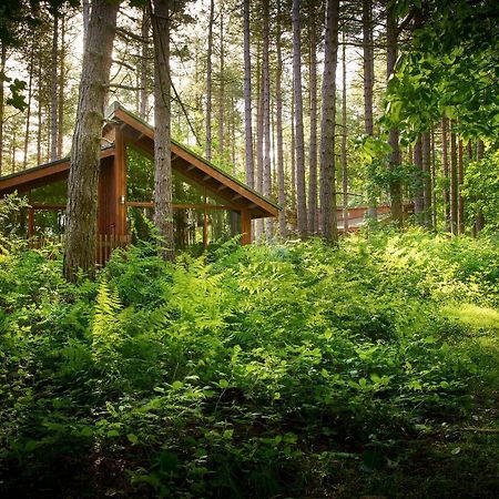 Blackwood Forest Cabins - Forest Holidays Popham Εξωτερικό φωτογραφία