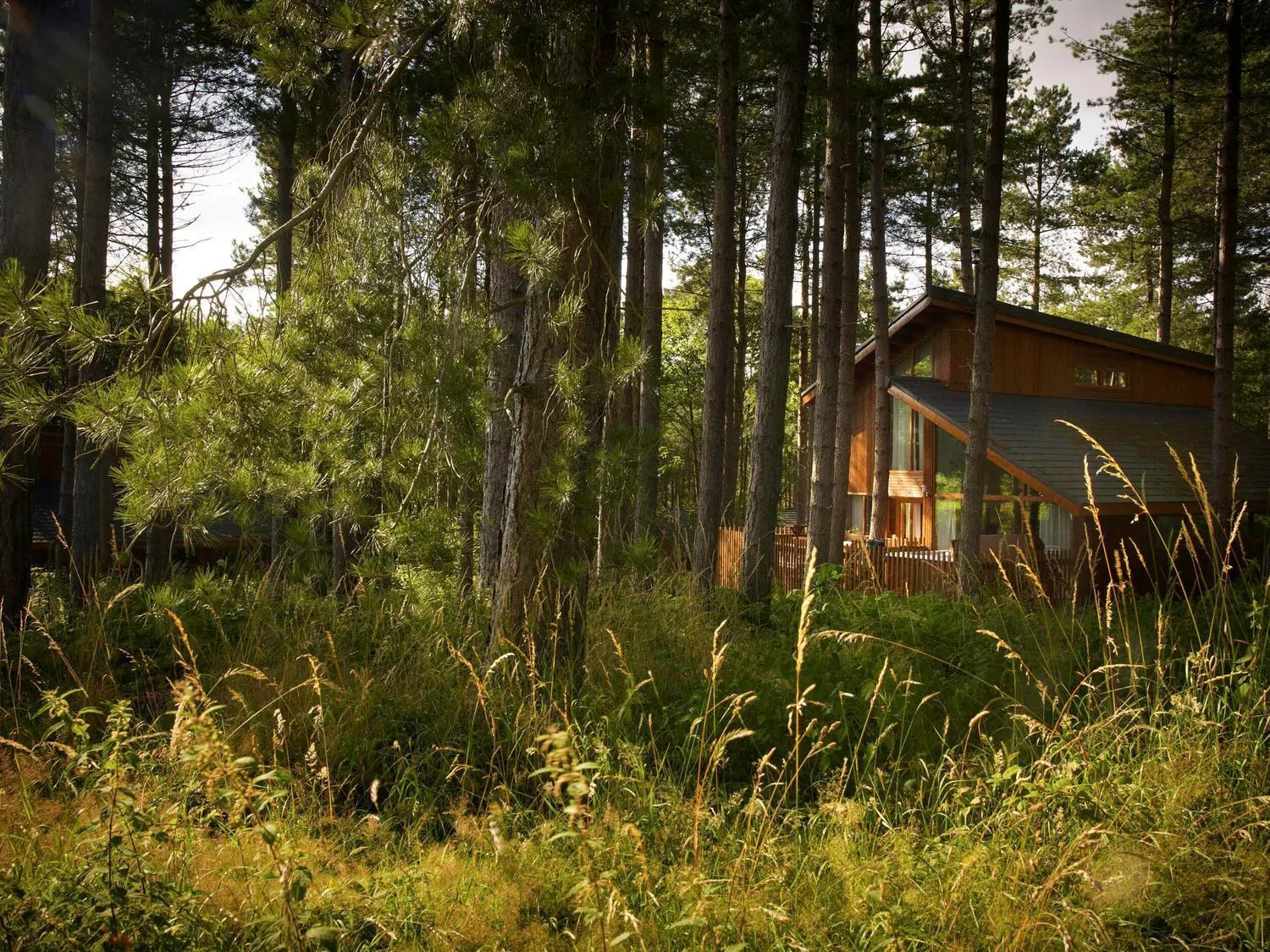 Blackwood Forest Cabins - Forest Holidays Popham Εξωτερικό φωτογραφία