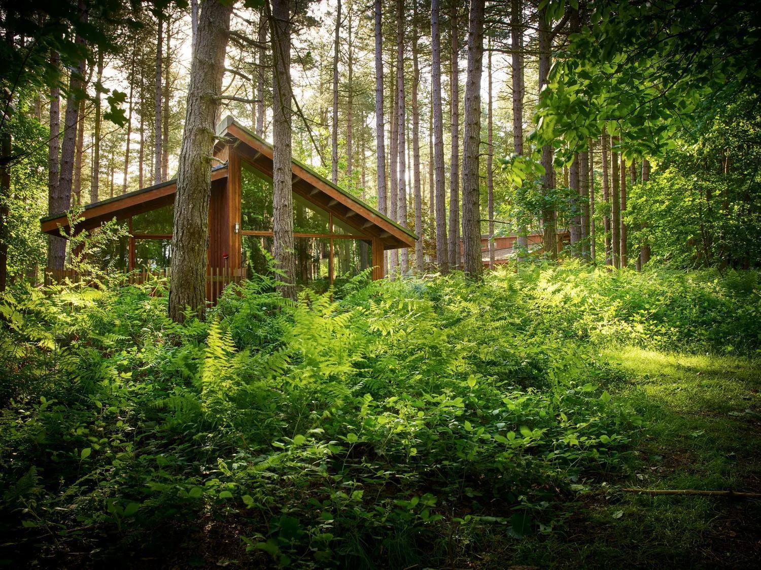 Blackwood Forest Cabins - Forest Holidays Popham Εξωτερικό φωτογραφία