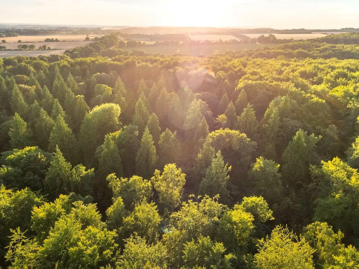 Blackwood Forest Cabins - Forest Holidays Popham Εξωτερικό φωτογραφία