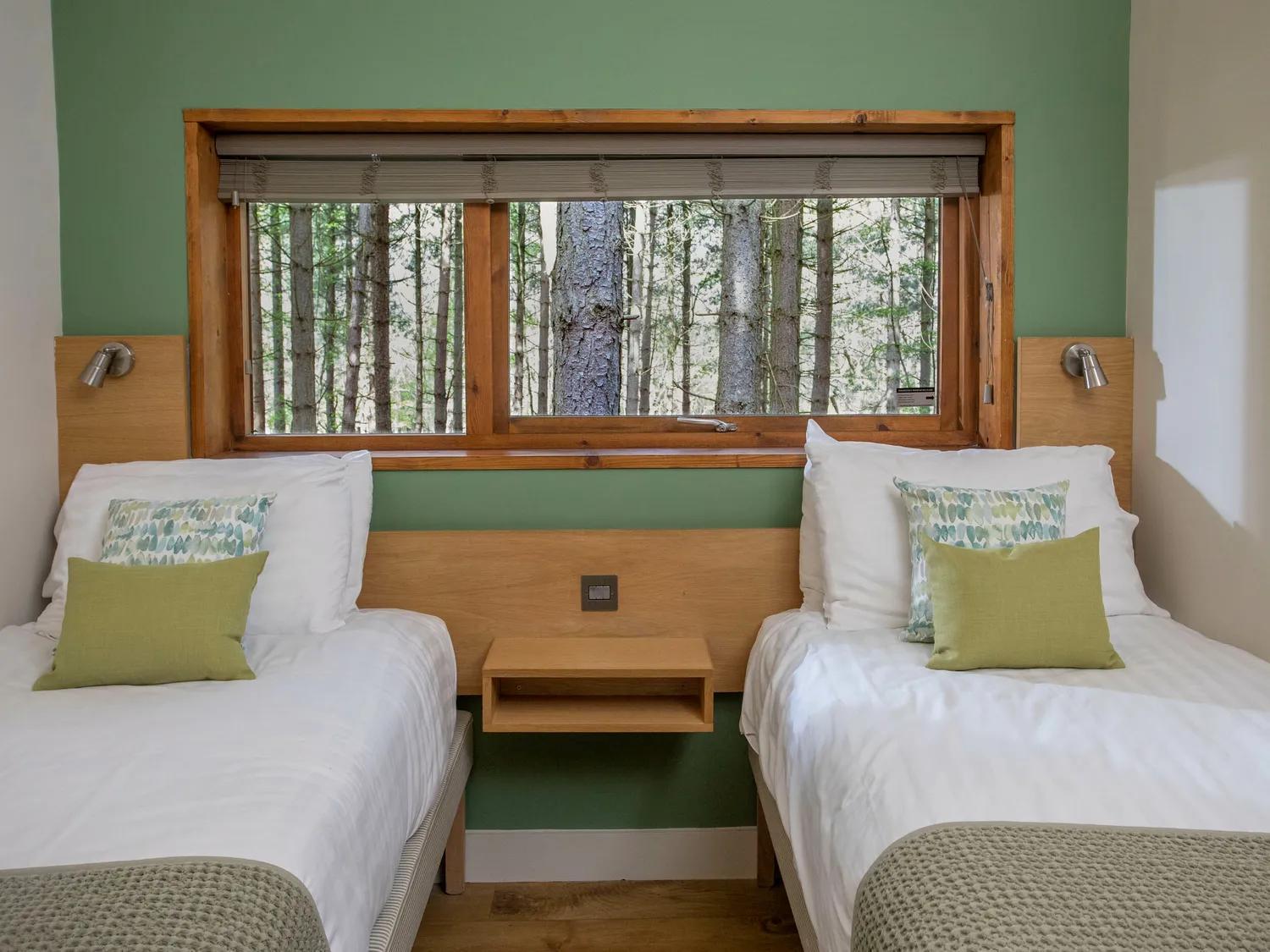 Blackwood Forest Cabins - Forest Holidays Popham Εξωτερικό φωτογραφία