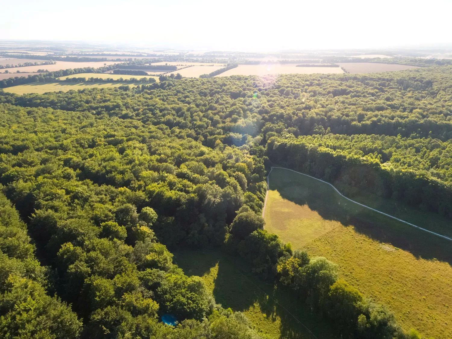 Blackwood Forest Cabins - Forest Holidays Popham Εξωτερικό φωτογραφία
