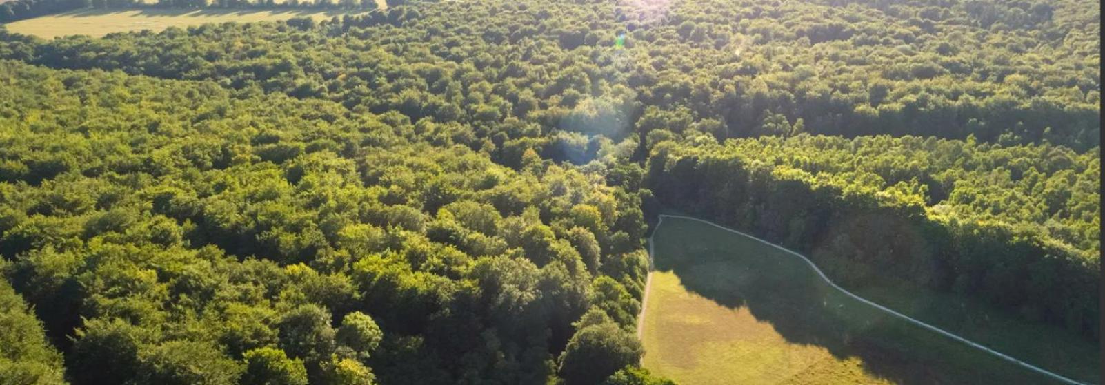 Blackwood Forest Cabins - Forest Holidays Popham Εξωτερικό φωτογραφία