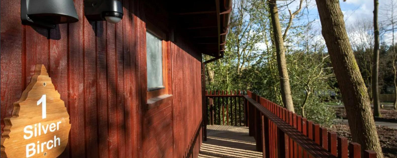 Blackwood Forest Cabins - Forest Holidays Popham Εξωτερικό φωτογραφία